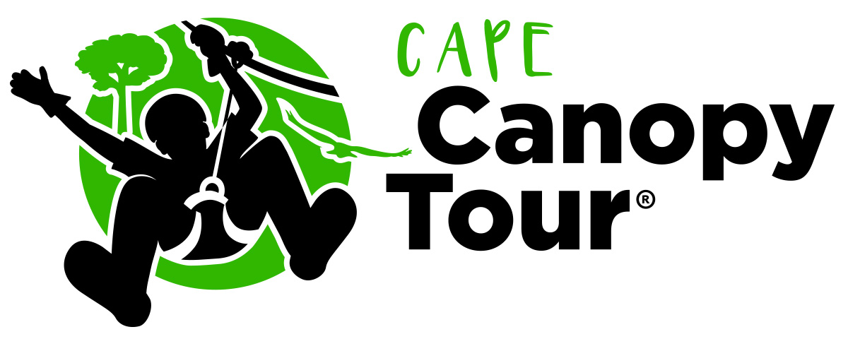 Cape Canopy Tours