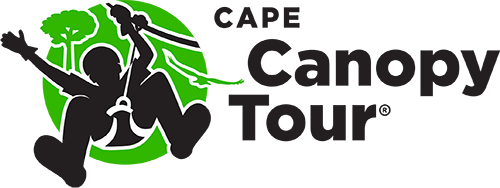 Cape Canopy Tours