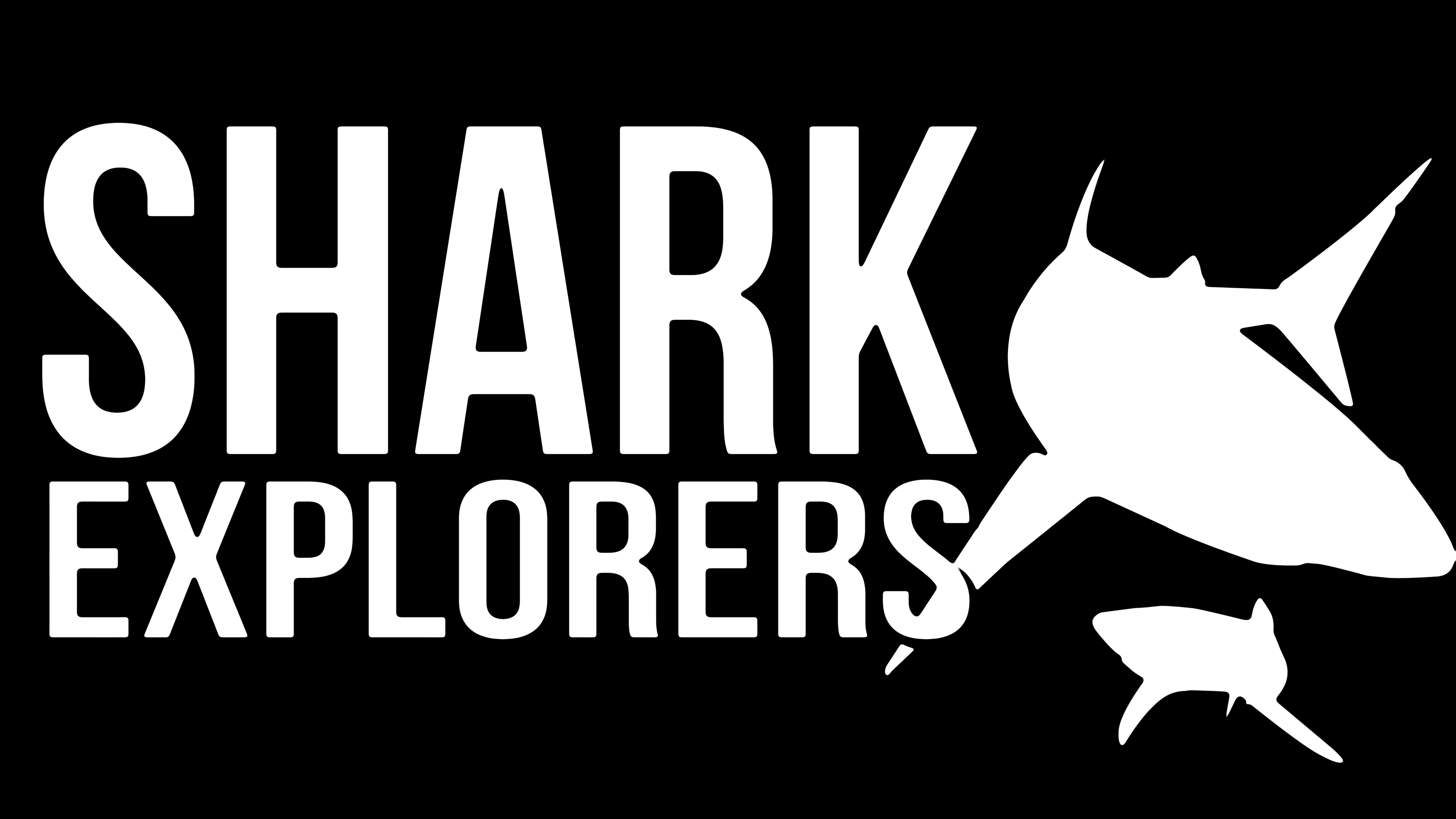 Shark Explorers